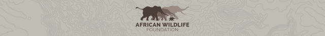 African Wildlife Foundation